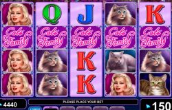 100 Cats